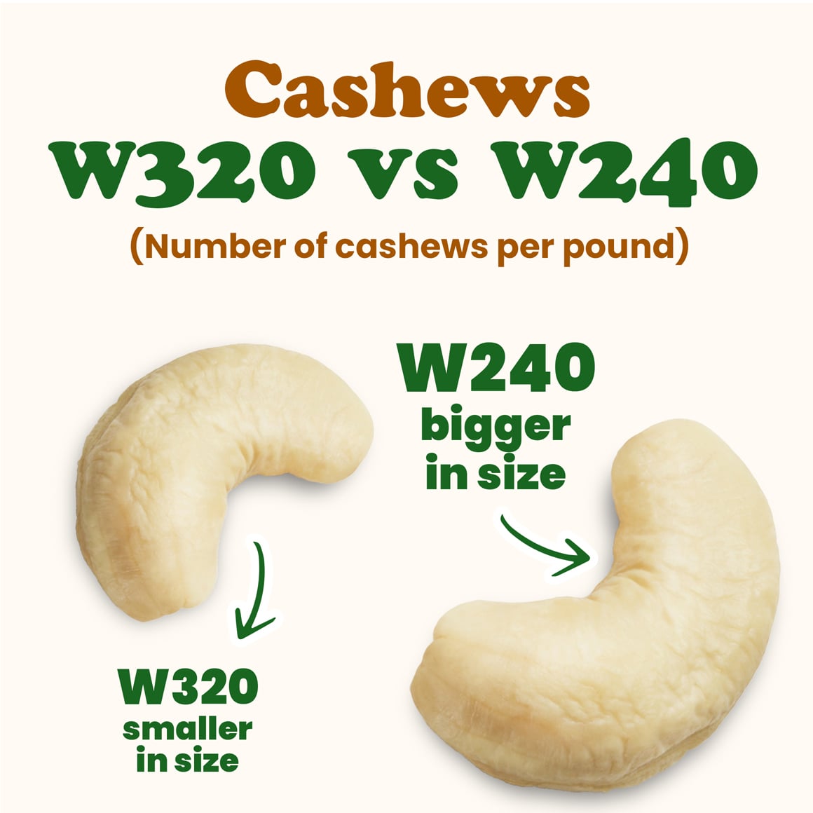 Organic Cashews W-240 4