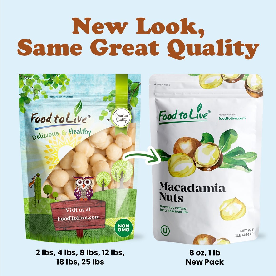 Whole Macadamia Nuts 6