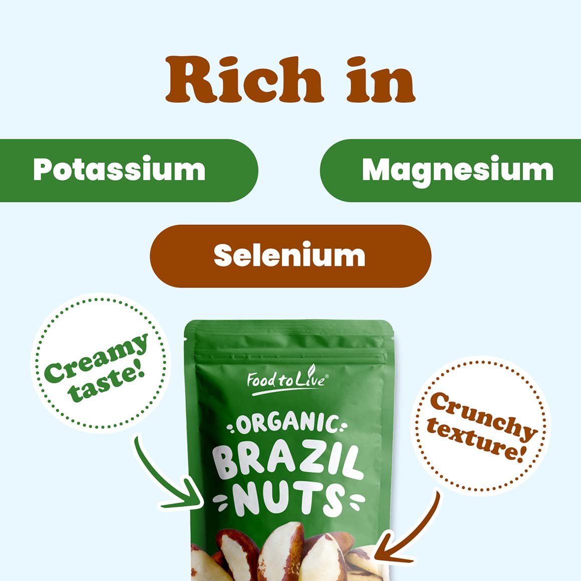 organic-brazil-nuts-3-min-upd