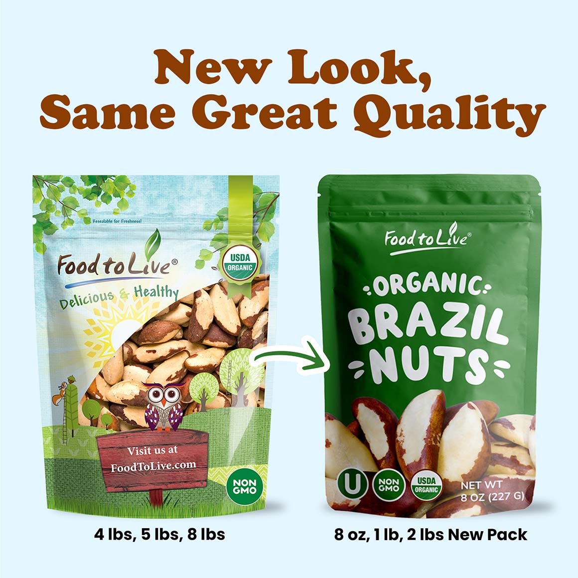 organic-brazil-nuts-6-min-upd