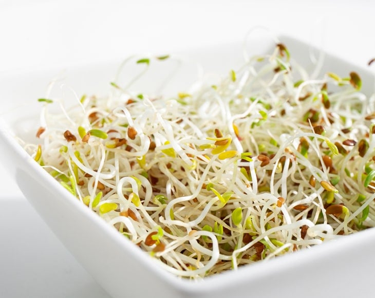 sprouts-from-organic-alfalfa-sprouting-seeds-min