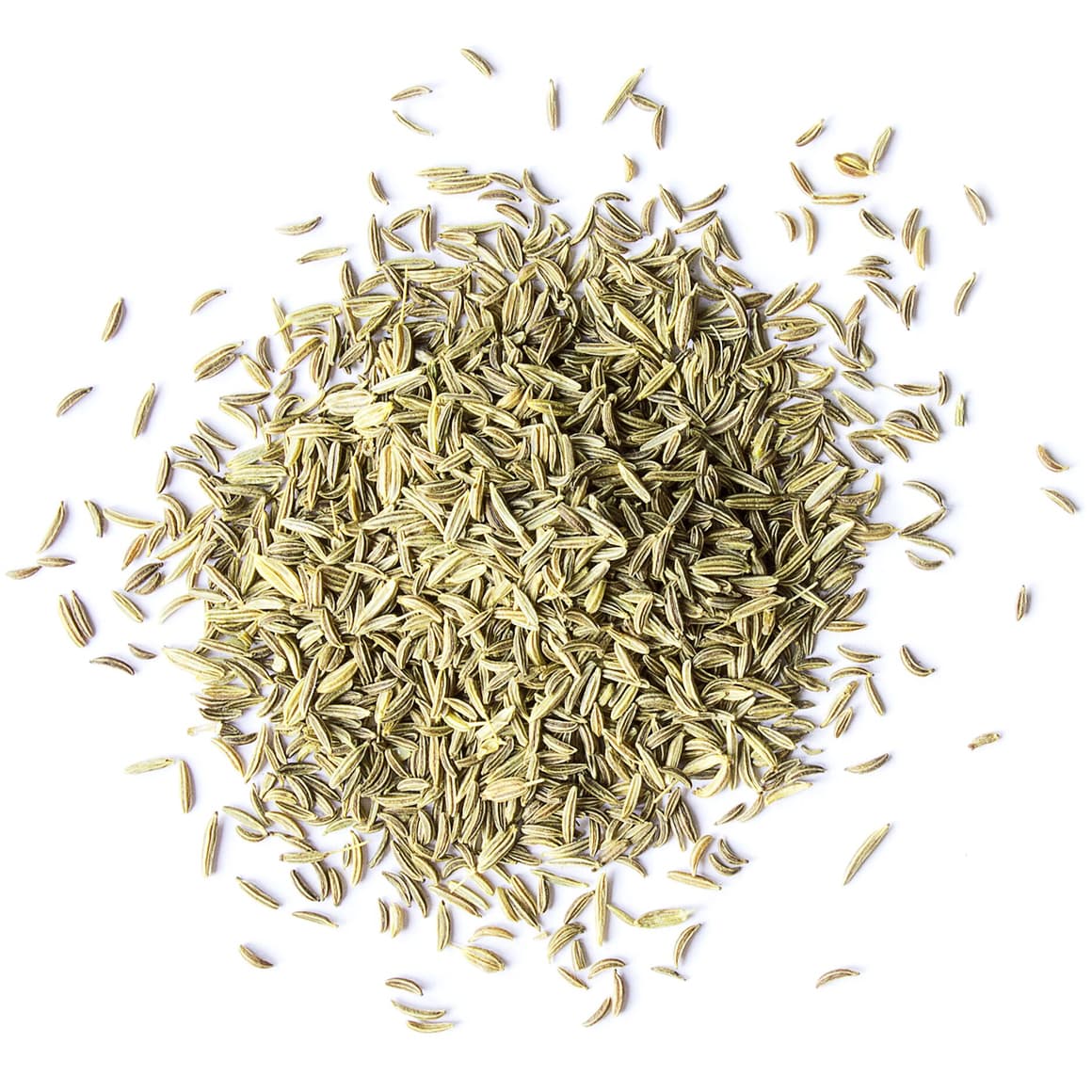 Fennel Seeds Buy in Bulk from Food to Live