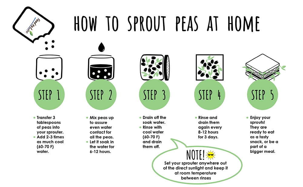 how-to-sprout-peas