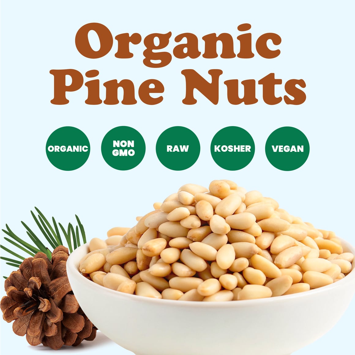 Organic Pine Nuts 1