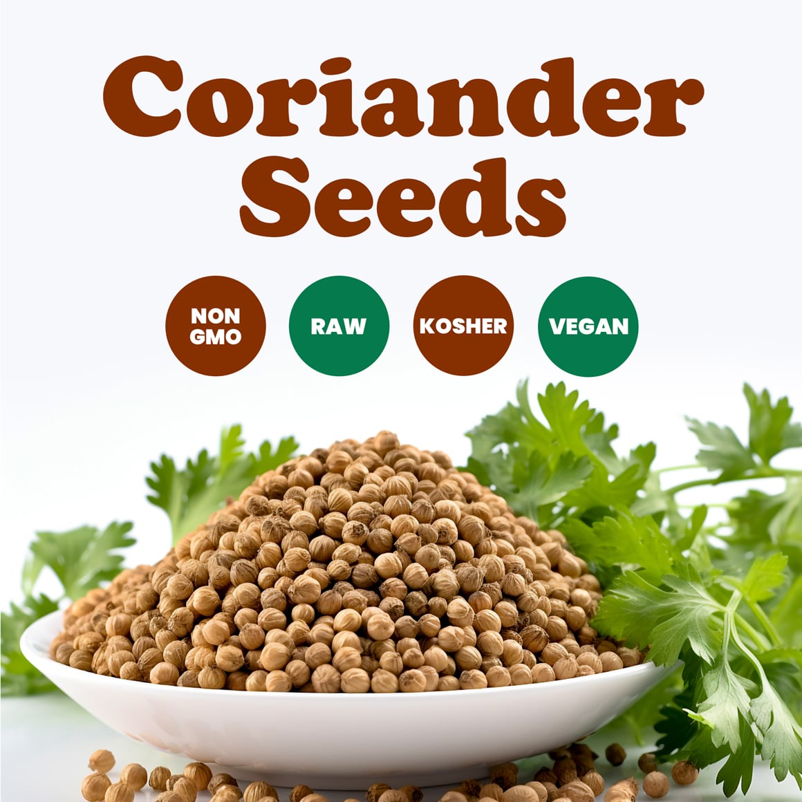 Coriander Seeds 1