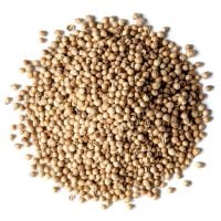 coriander-seeds-main-min