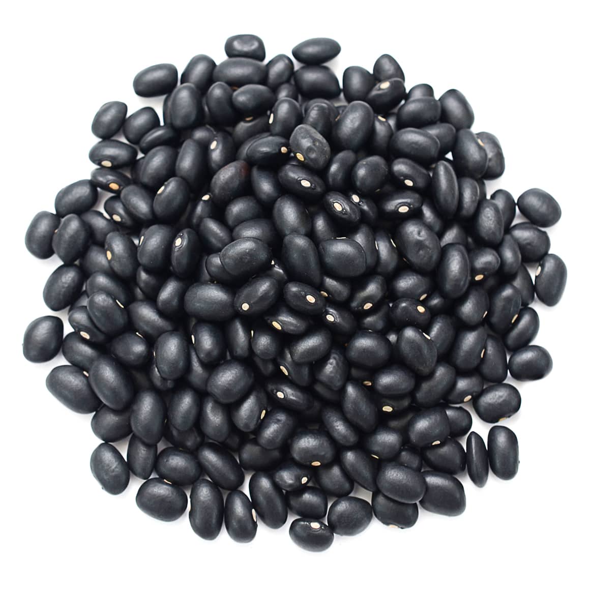 black-turtle-beans-main-min