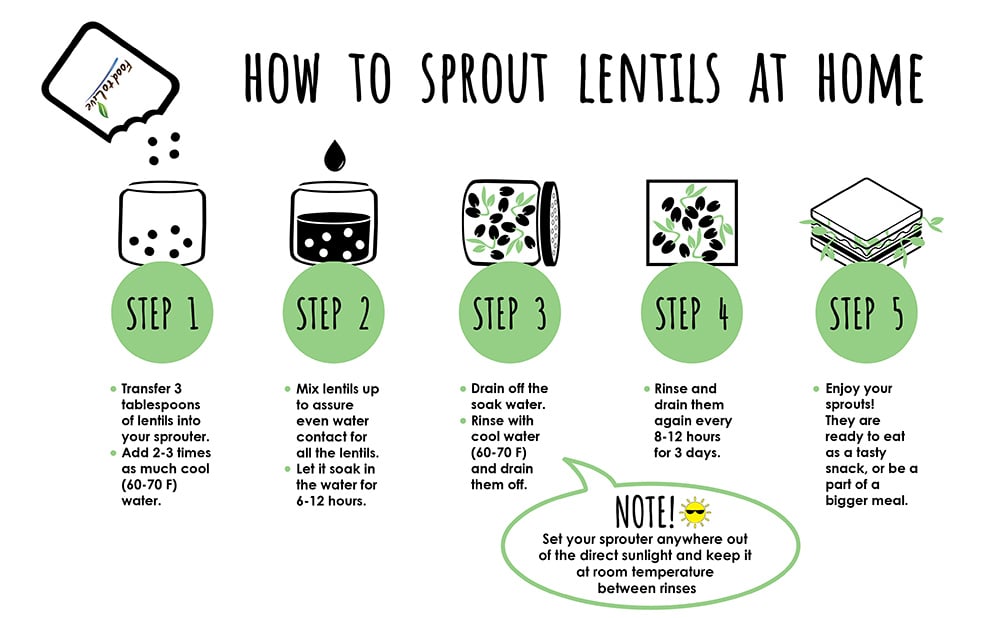 how-to-sprout-lentils