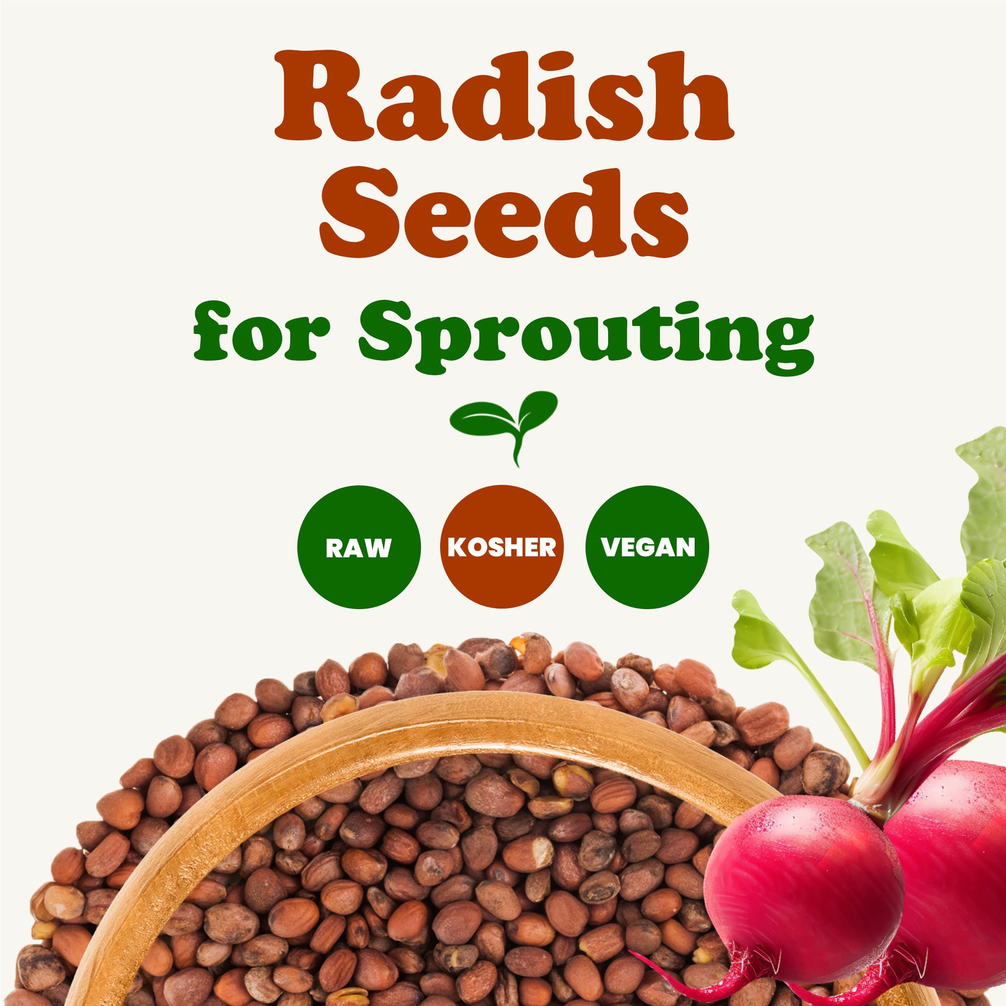 radish-seeds-for-sprouting-2