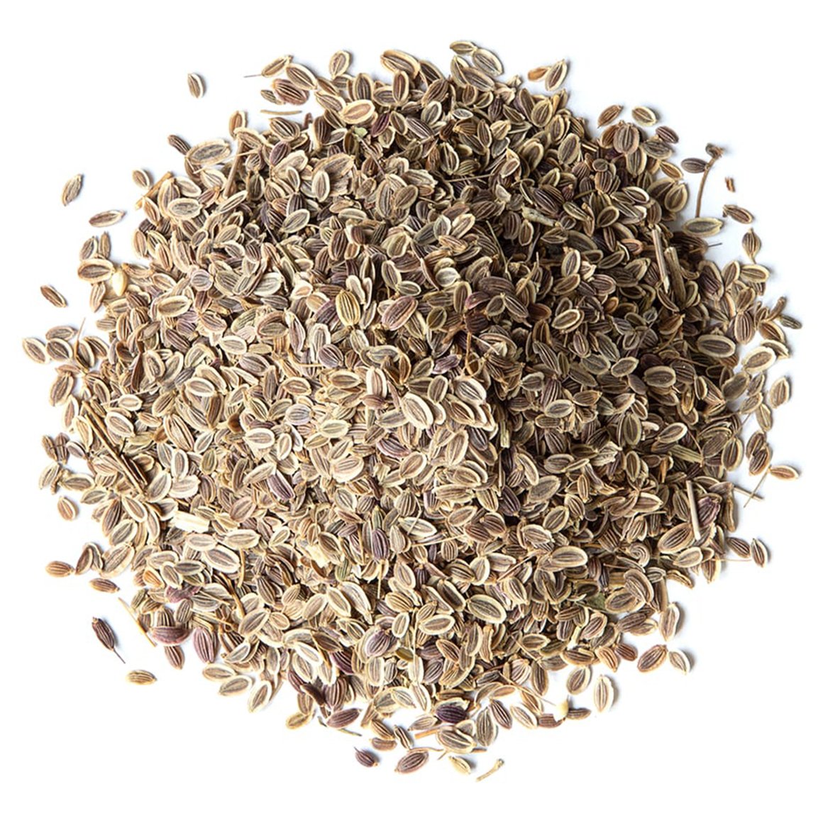 conventional-dill-seeds-main