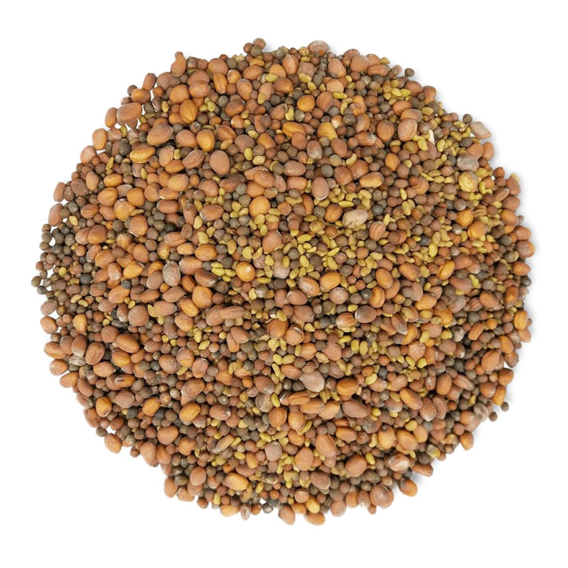 1-spicy-mix-of-sprouting-seeds-main-min