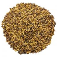 Antioxidant Sprouting Seeds Mix