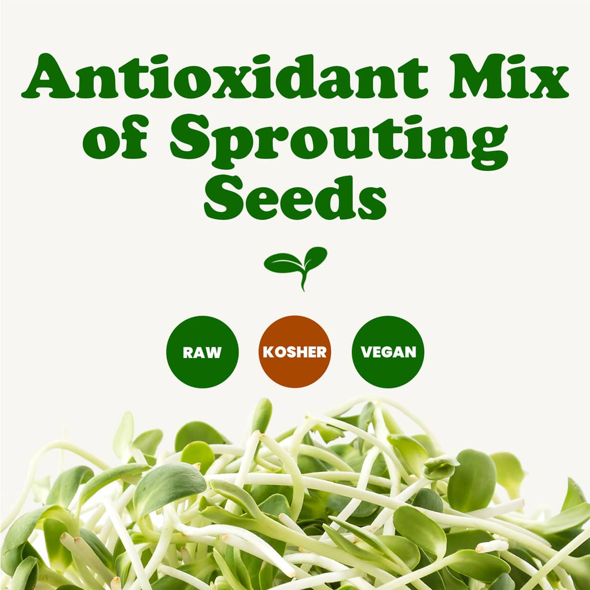 antioxidant-mix-of-sprouting-seeds-2-min