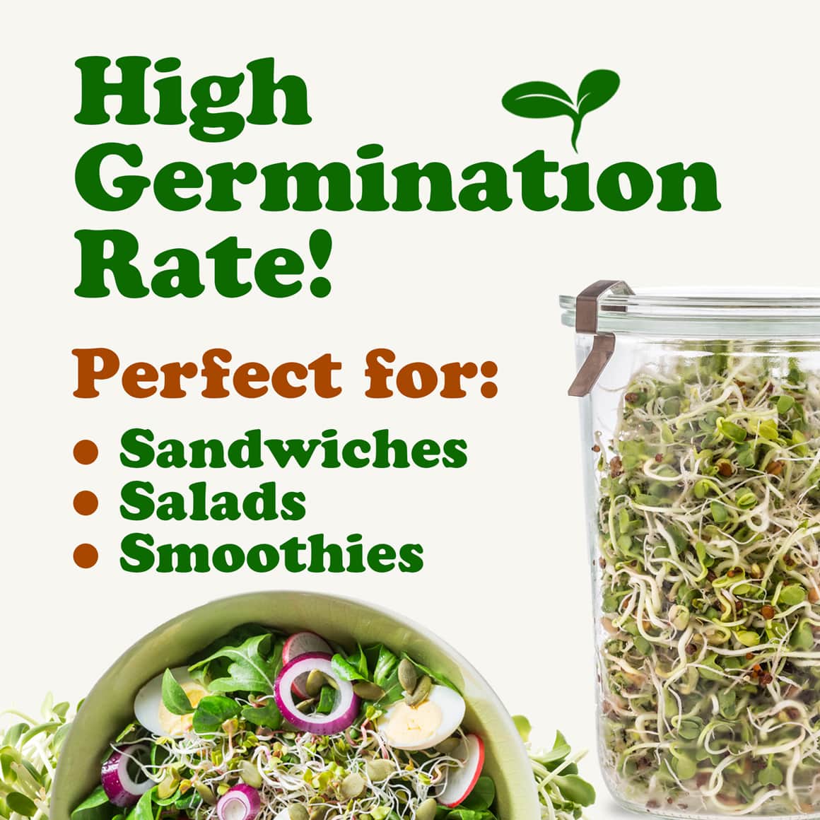 antioxidant-mix-of-sprouting-seeds-4-min