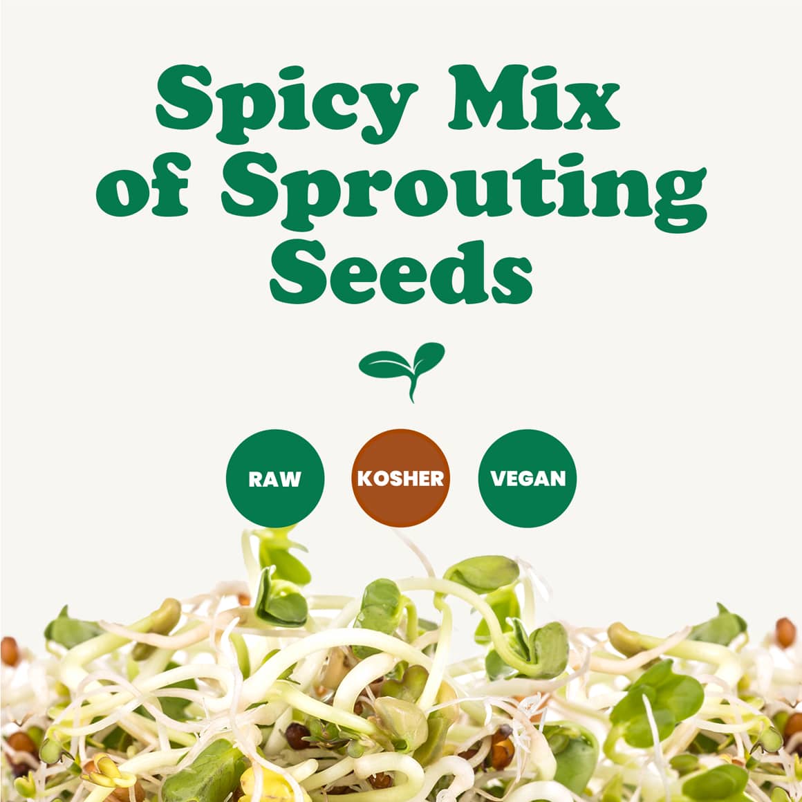 spicy-mix-of-sprouting-seeds-2-min