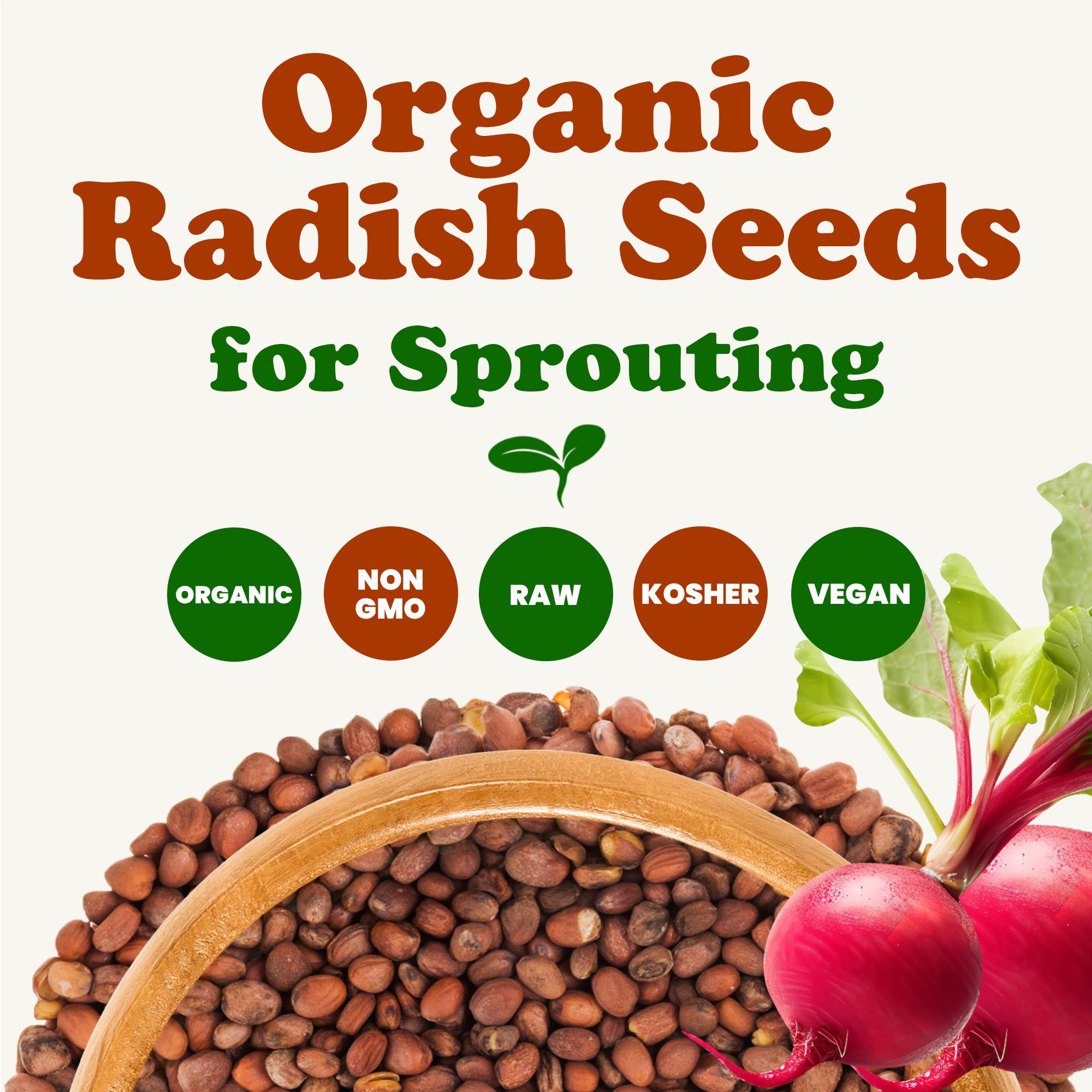 organic-radish-seeds-for-sprouting-2