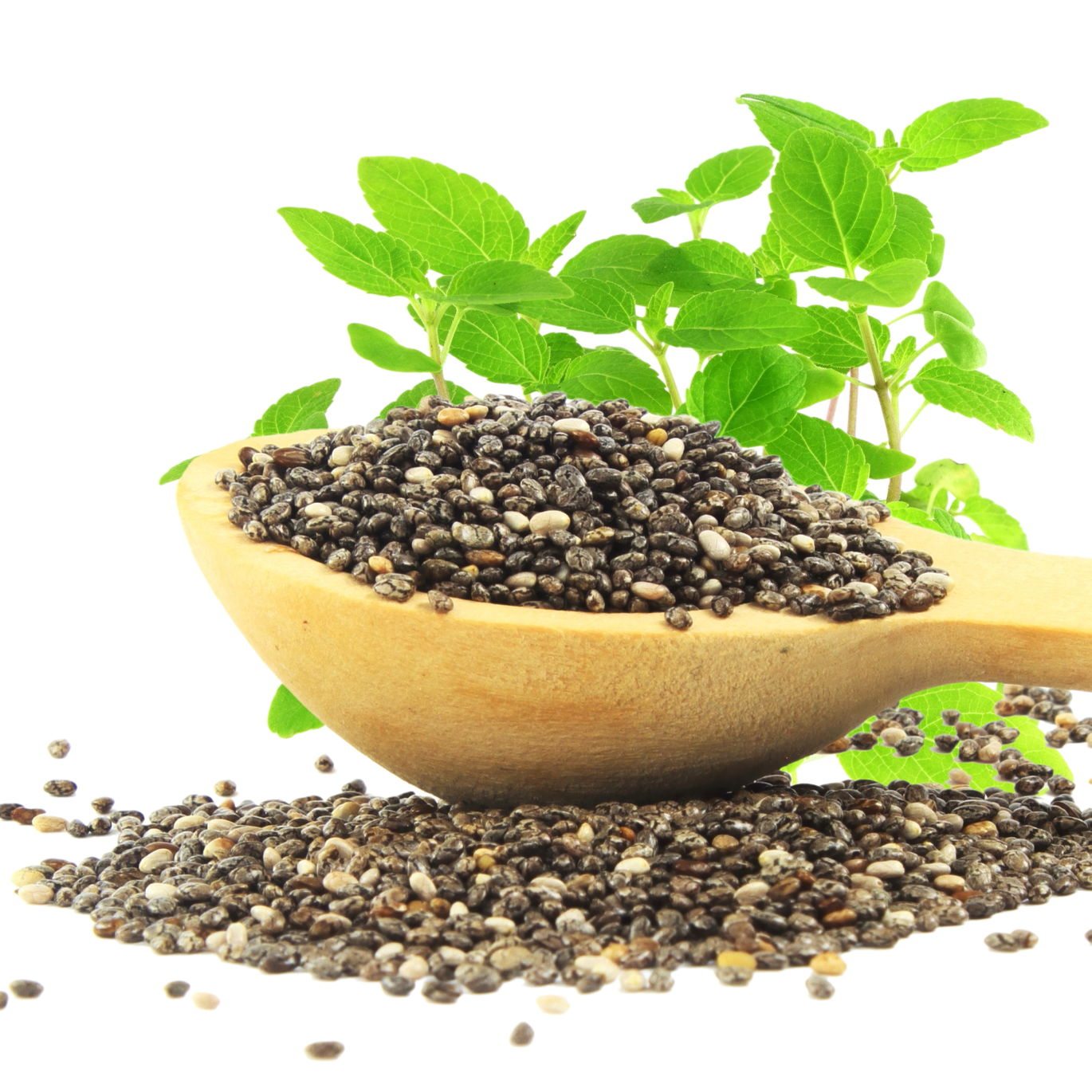 Organic Chia Seeds | Buy Organic Chia Seeds in Bulk from ...