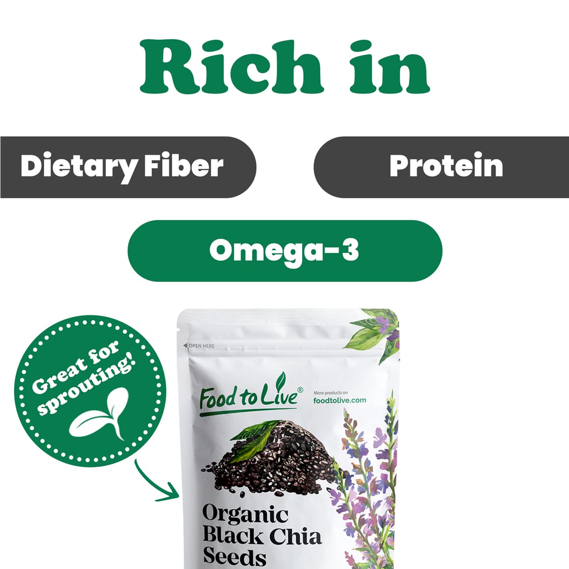 Organic Black Chia Seeds 2