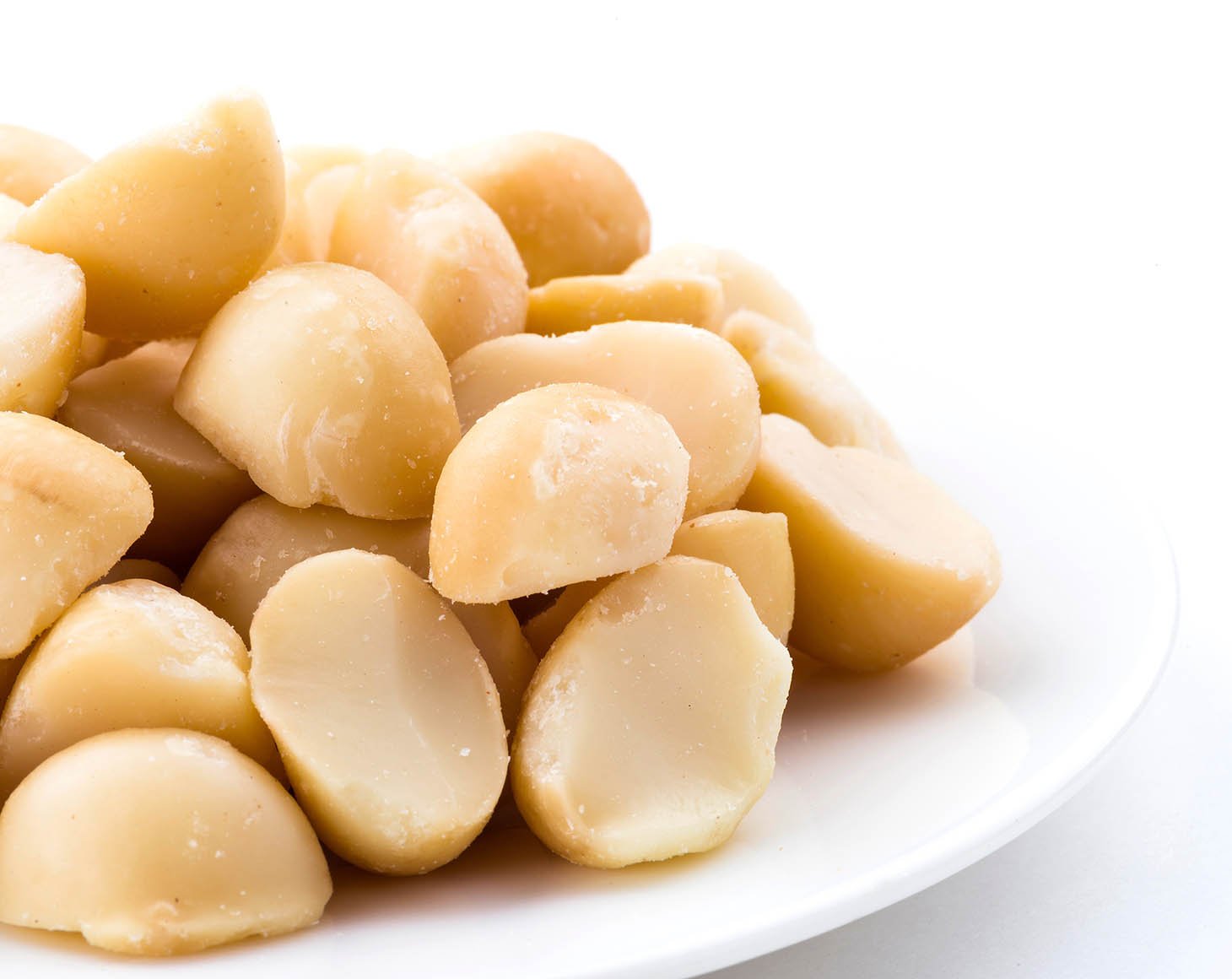 conventional-macadamia-nut-pieces-2