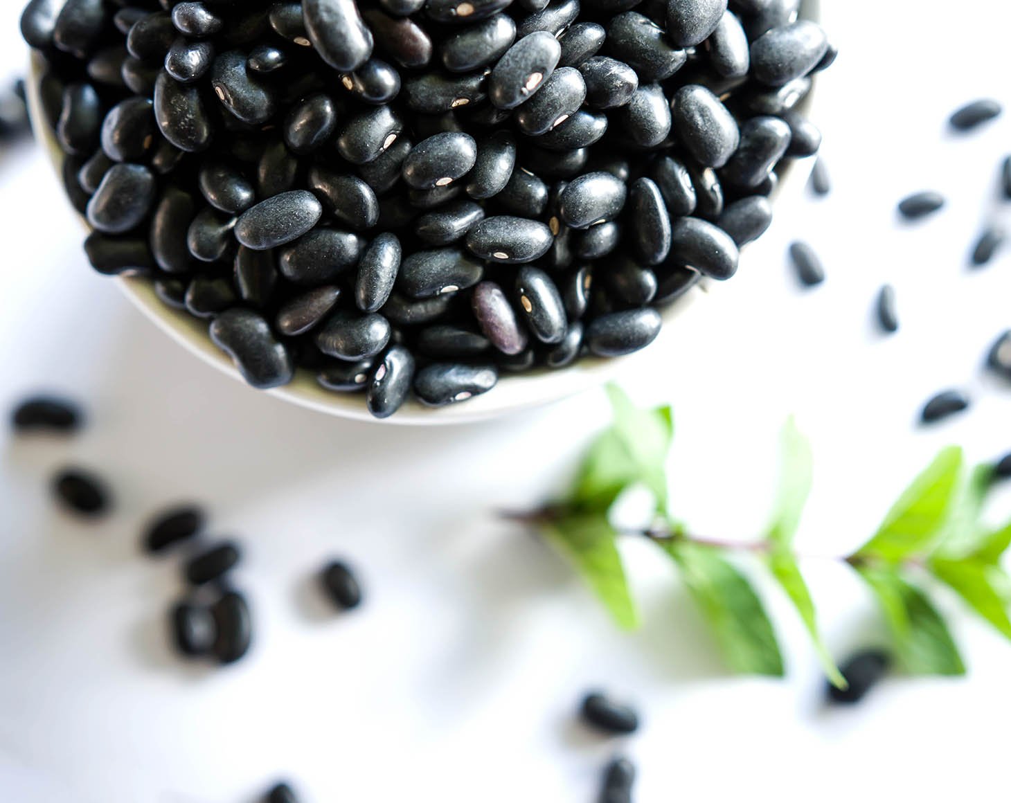 organic-black-turtle-beans-2