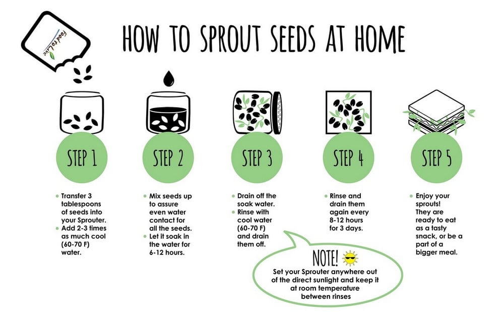 How to sprout