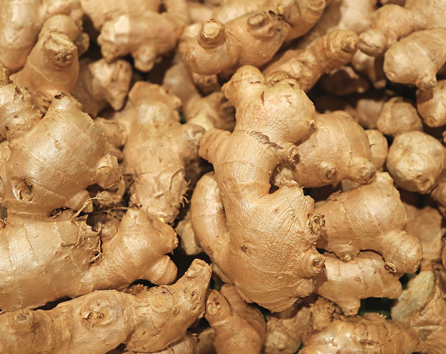 Heap of fresh ginger rhizomes for sale on the market
