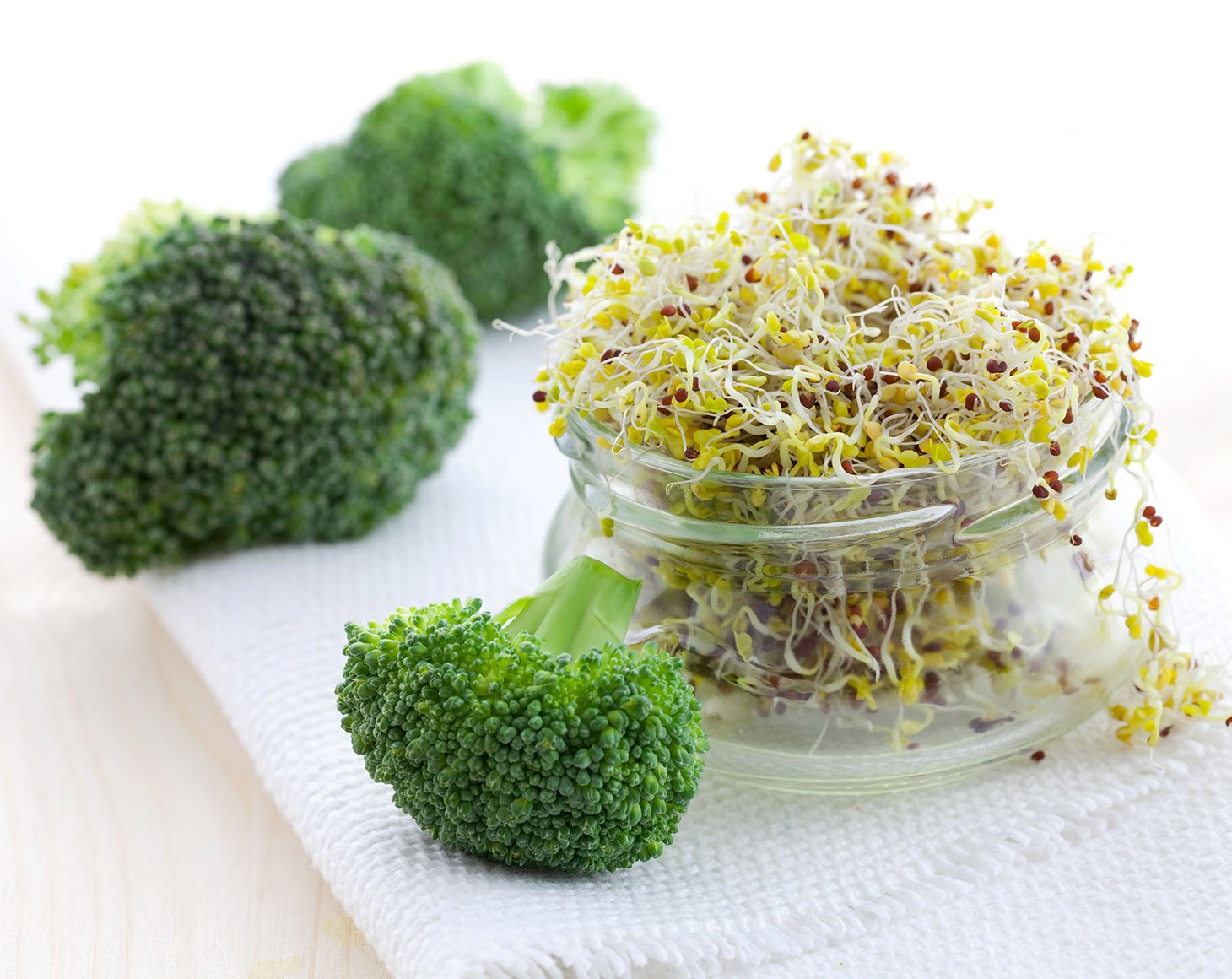Vegan Broccoli Sprout Powder 1.5 Pounds Bulk Kosher 