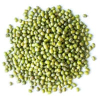 Organic-Légumes-Laitue Tuska 375 Graines-gros 