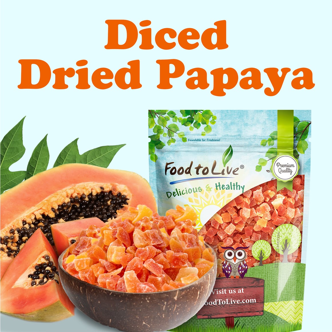 Diced Dried Papaya 1