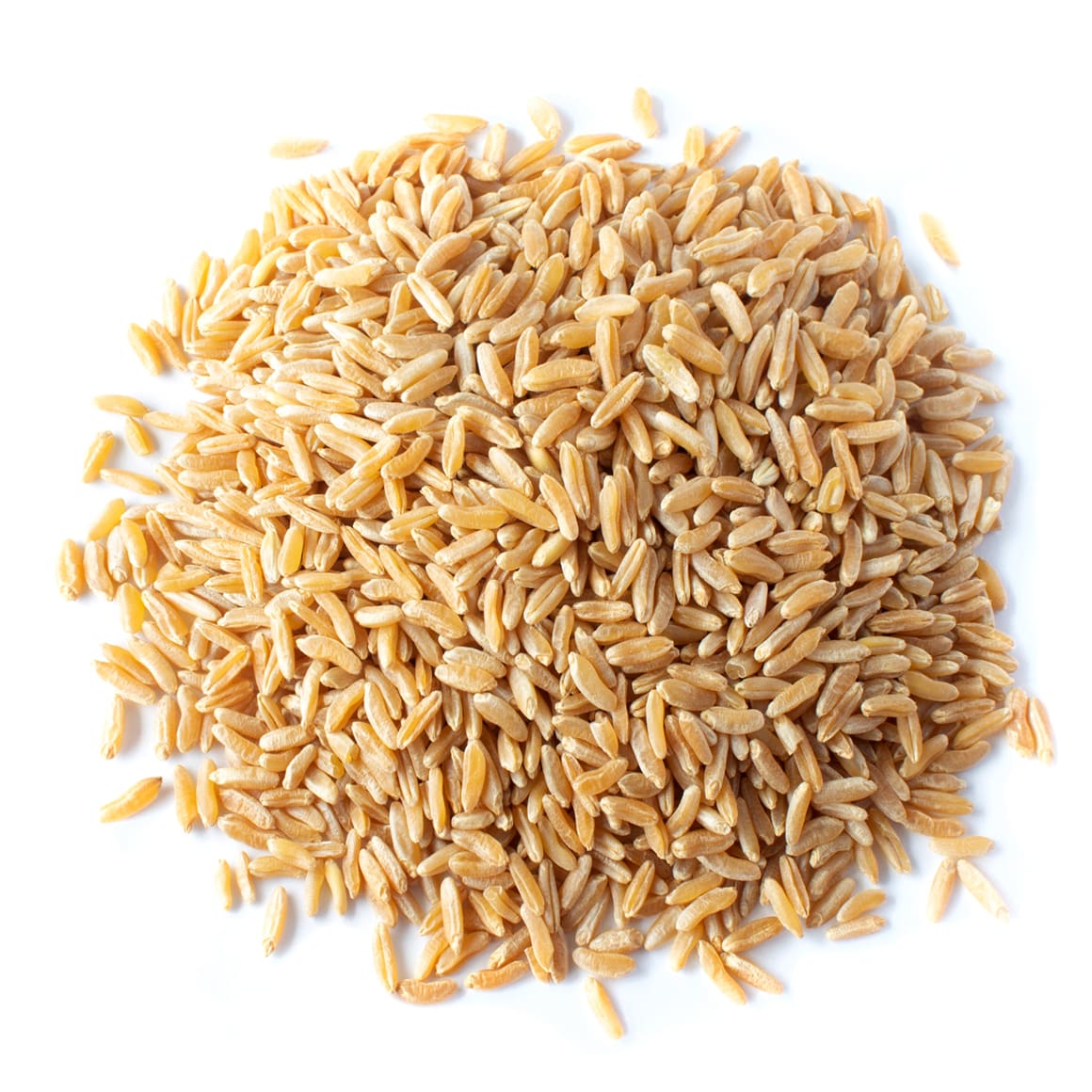 organic-KAMUT®-khorasan-wheat-main-min