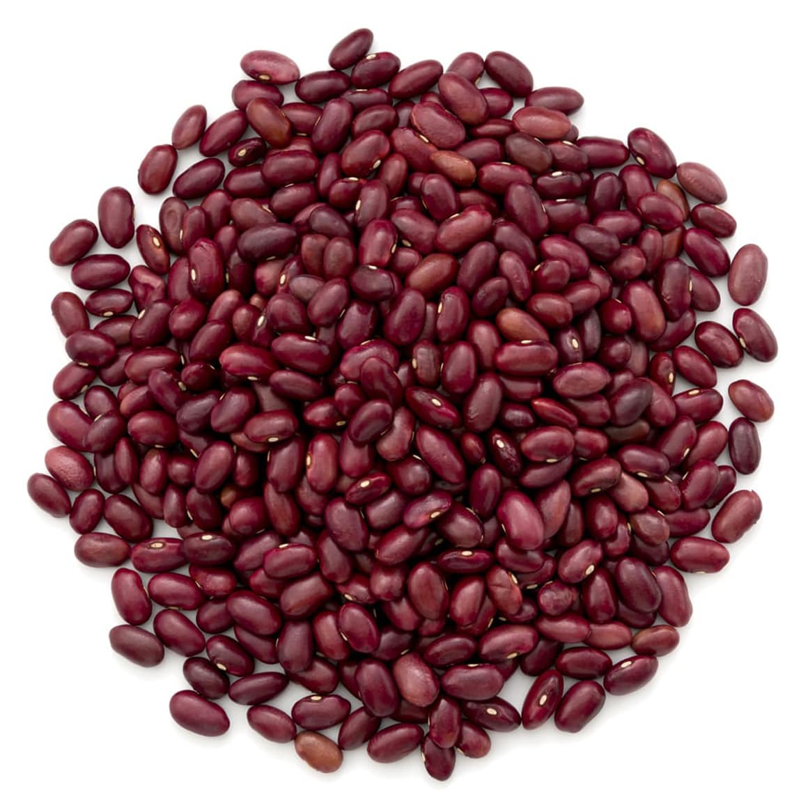 Organic Dark Red Kidney Beans Buy in Bulk from Food to Live