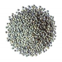 Organic Mung Beans Buy in Bulk from Food to Live