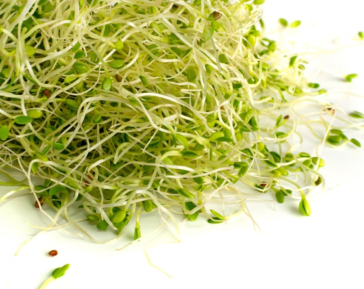 fresh-clover-sprouts-min
