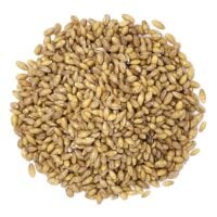 organic-hulled-barley-main-min