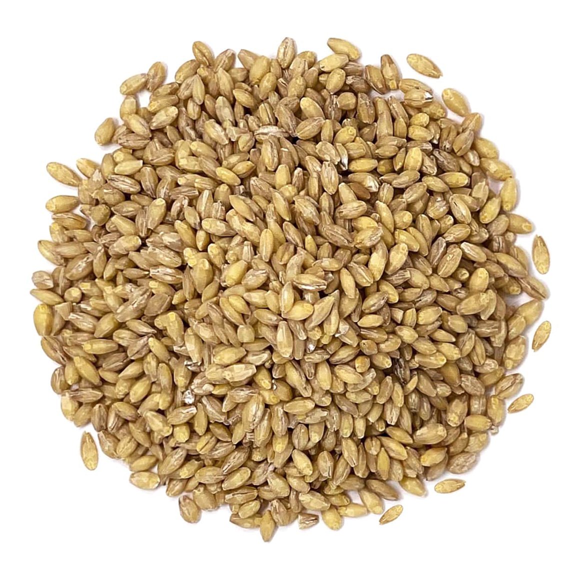 organic-hulled-barley-main
