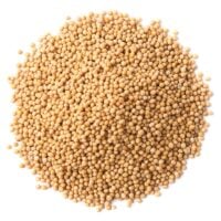 FTLorganic-yellow-mustard-seeds-main