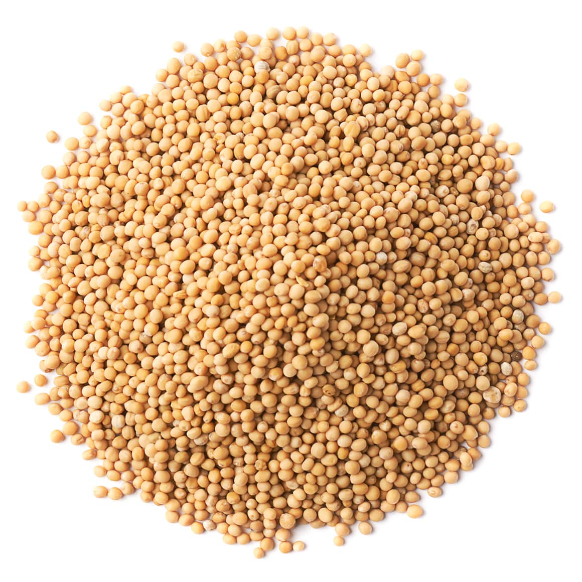 FTLorganic-yellow-mustard-seeds-main