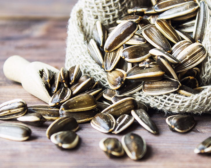 Organic Sunflower Seeds in Shell