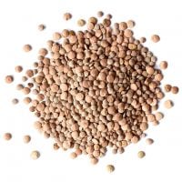 Organic Red Lentils Whole