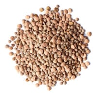 Organic-Red-Lentils-Whole-min-upd