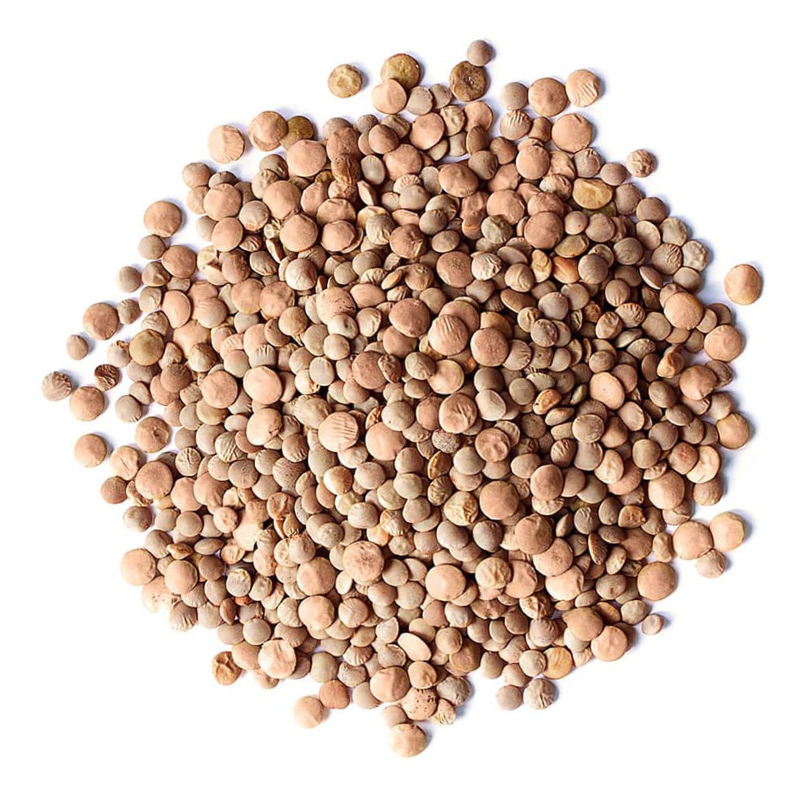 Organic-Red-Lentils-Whole-min-upd