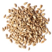 Organic-Roasted-and-Salted-Sunflower-Seeds-Main-Min