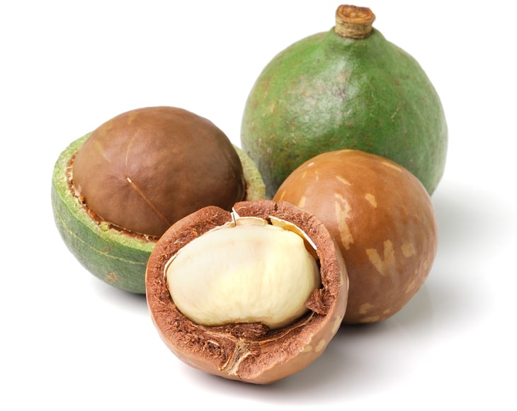 Nuts Macadamia
