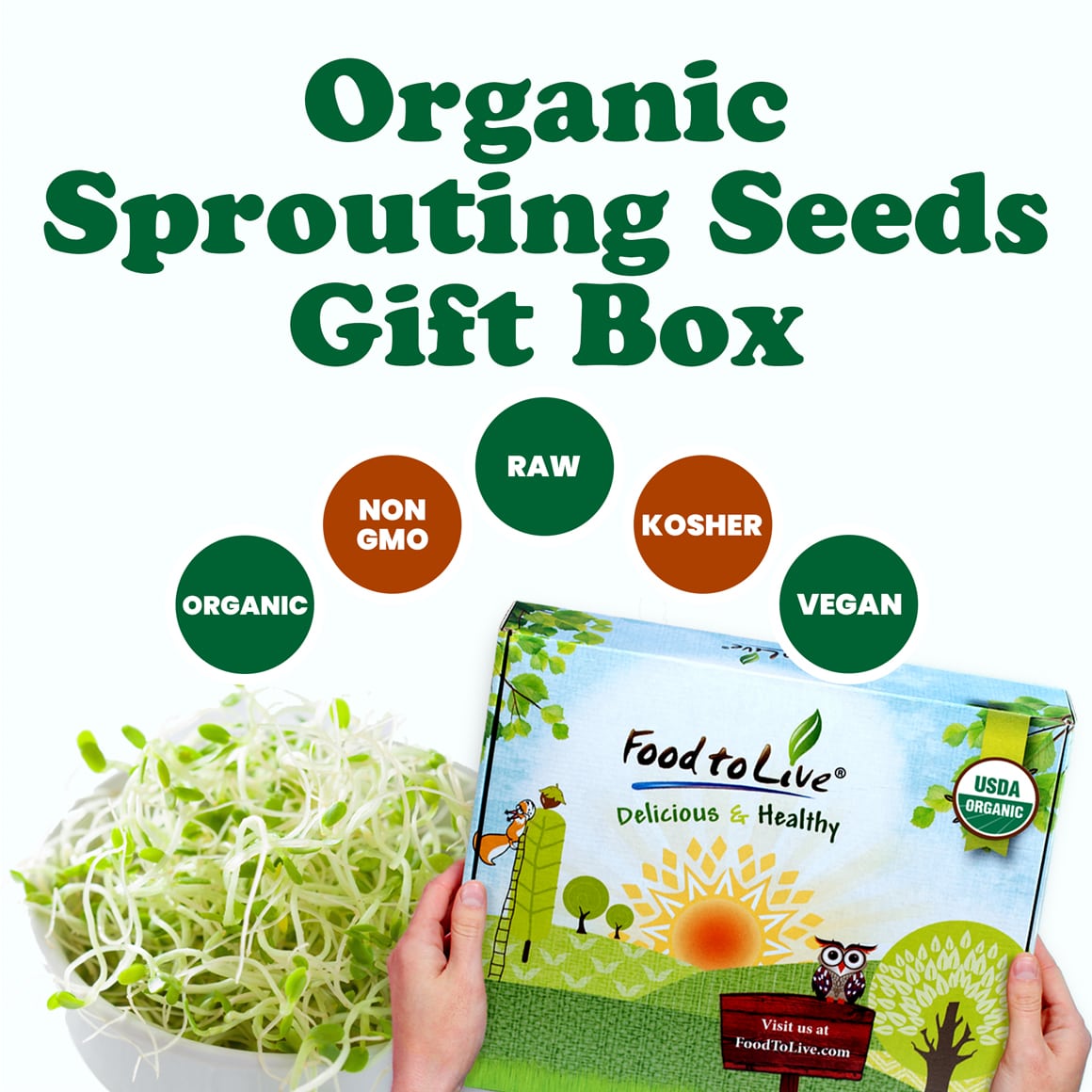 Organic Sprouting Seeds Gift Box 1