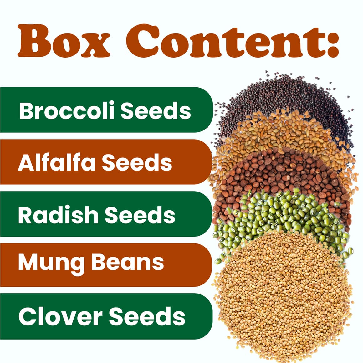 Organic Sprouting Seeds Gift Box 2