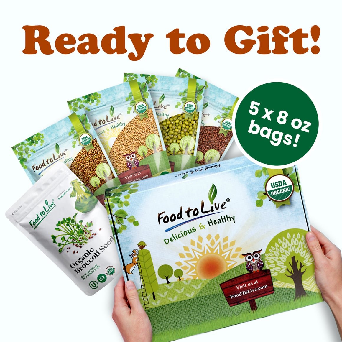 Organic Sprouting Seeds Gift Box 5