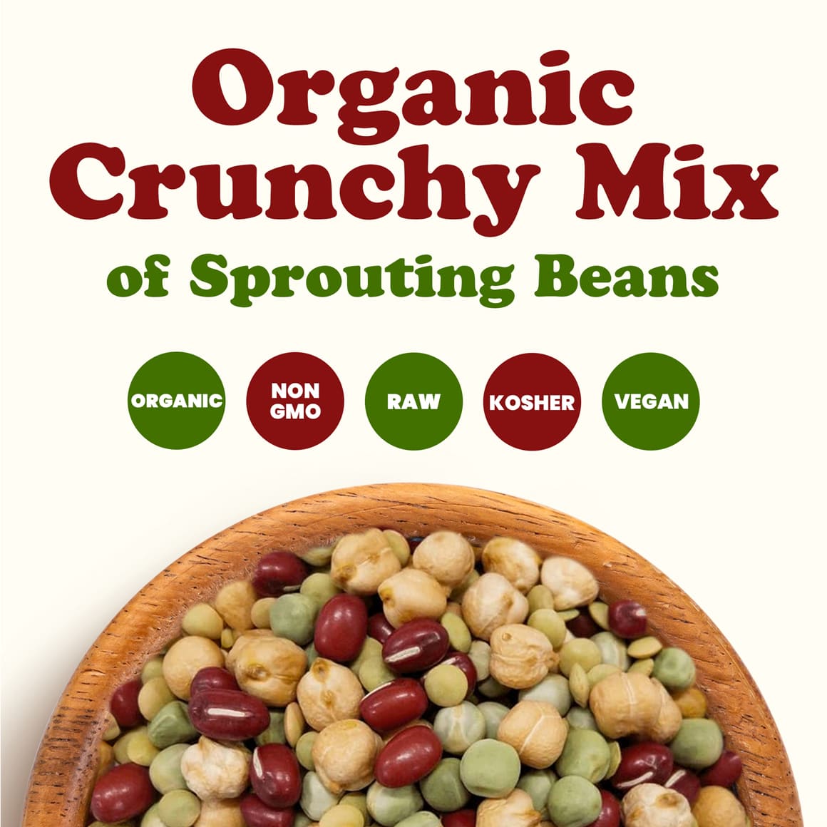 Organic Crunchy Mix of Sprouting Beans 1