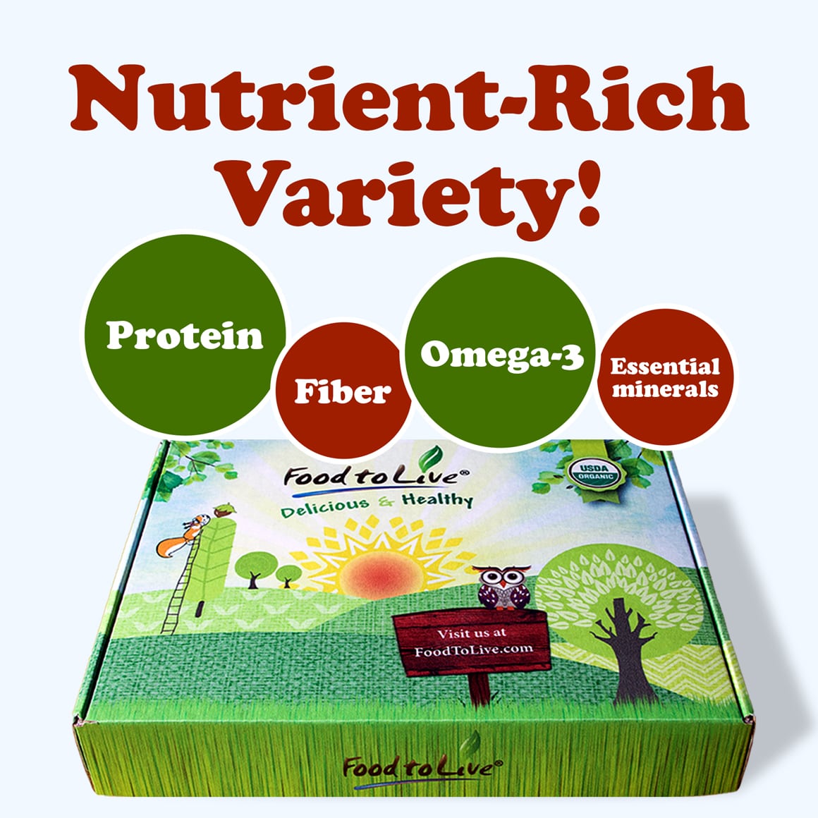 Organic Nuts, Seeds and Fruits Gift Box 4