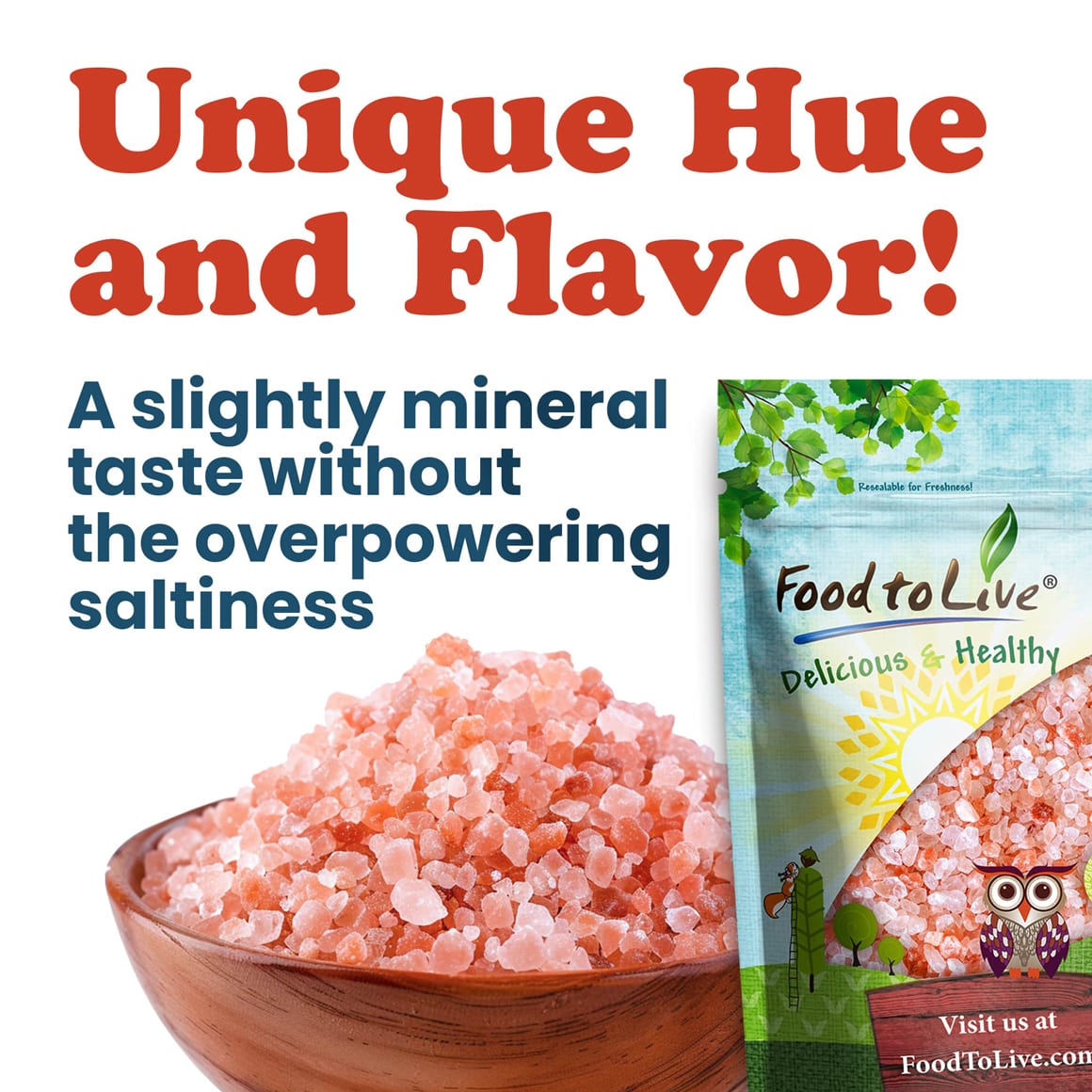 Himalayan Pink Salt – Coarse 3