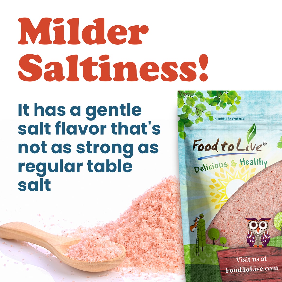 Himalayan Pink Salt – Fine 3